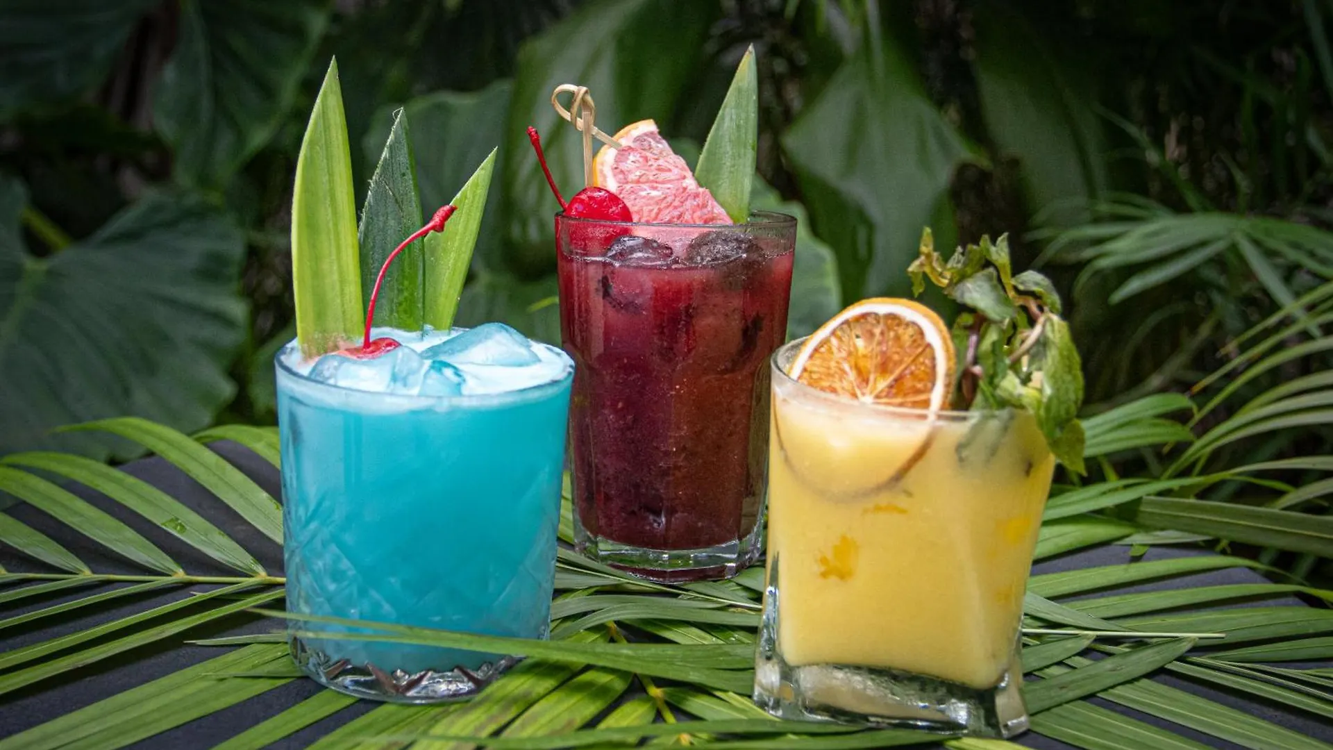 ***** Hotel The Yellow Nest Tulum Mexico