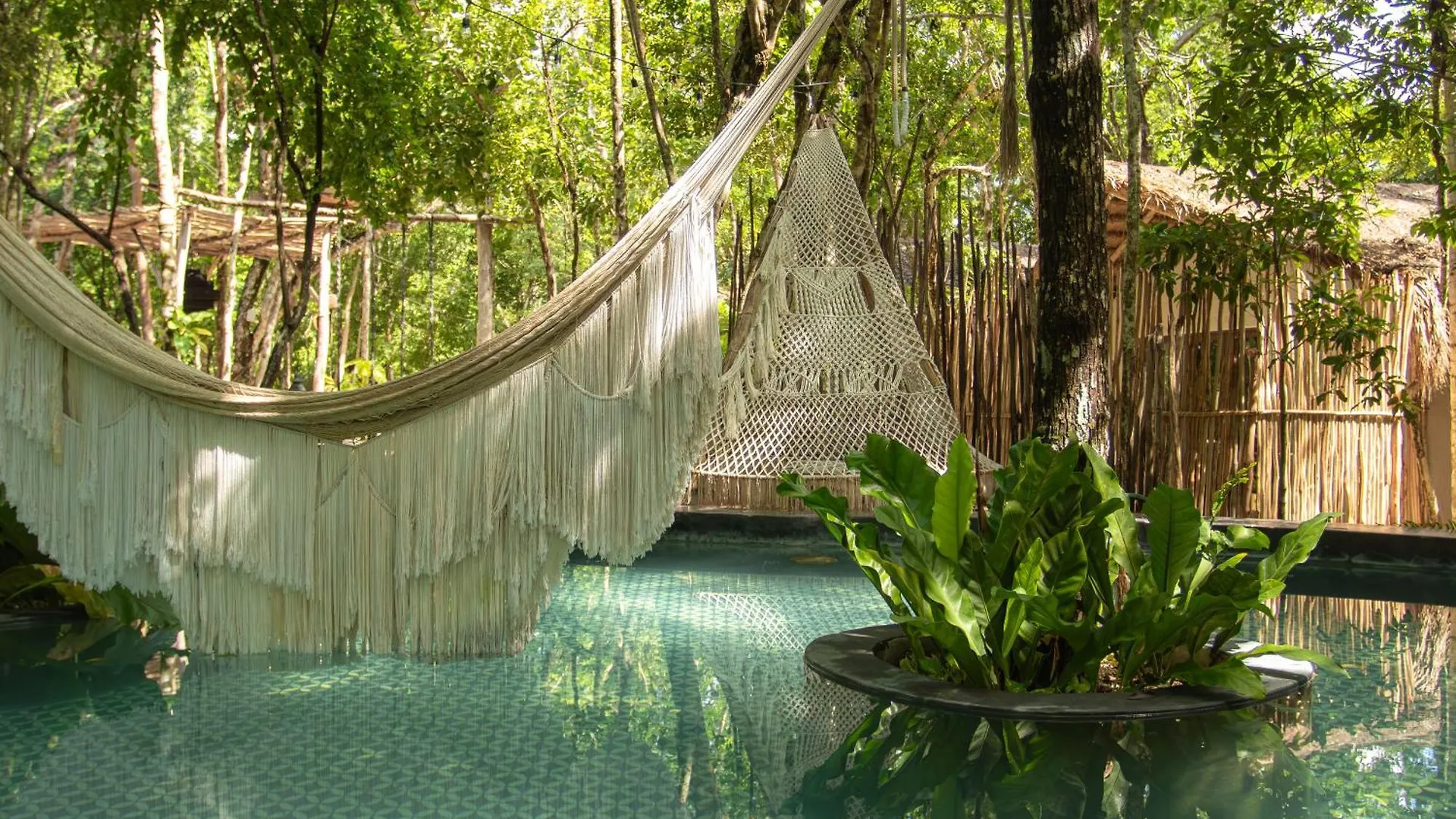 Hotel The Yellow Nest Tulum
